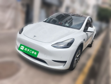 Tesla Model Y 2023 Tesla Model Y 2023 immagine di auto