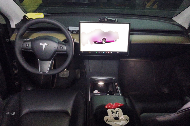 Tesla Model Y 2022 car image #11