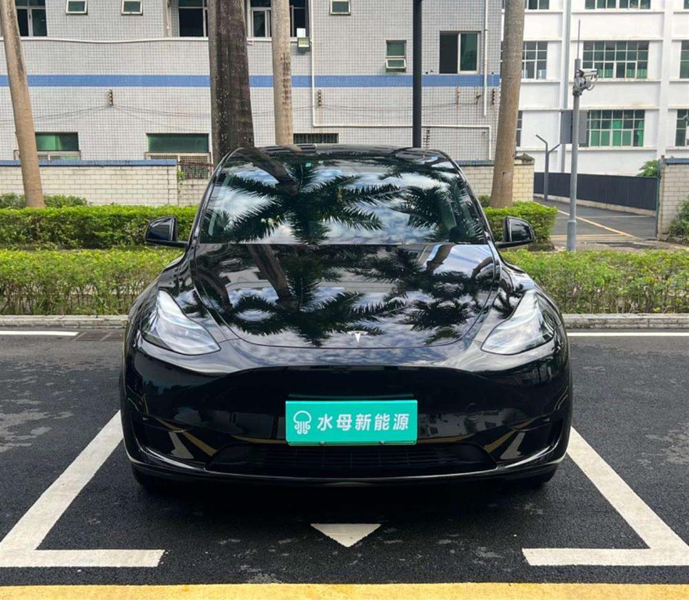 Tesla Model Y 2024 car image #2
