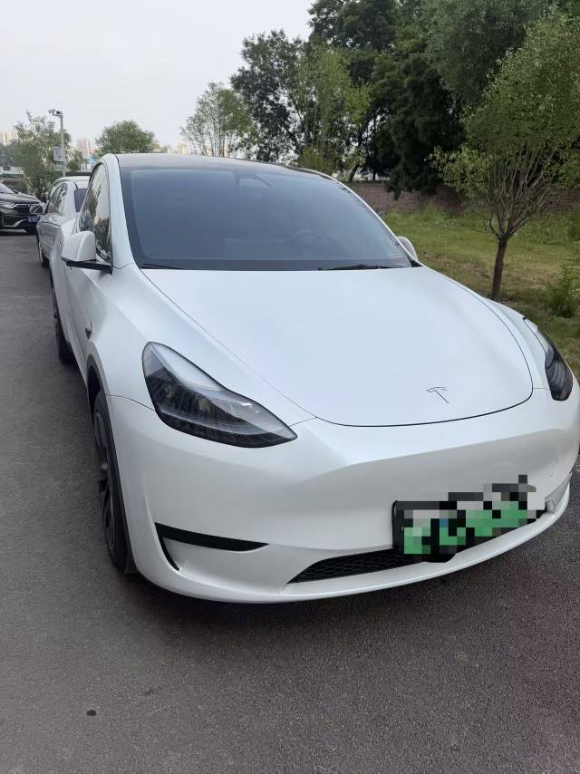 Tesla Model Y 2023 Tesla Model Y 2023 car image