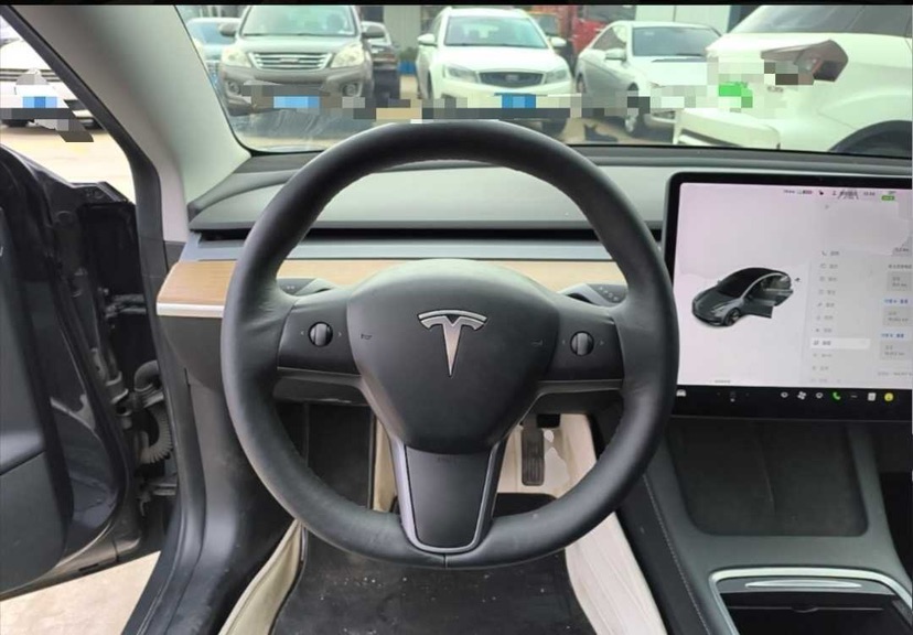 Tesla Model 3 2021 #3 Tesla Model 3 2021 car image #3