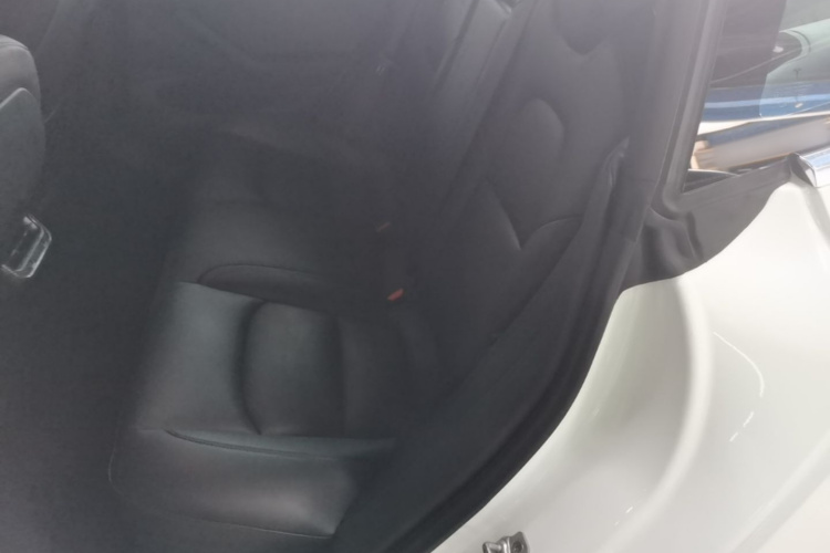 Tesla Model 3 2020 car image #17