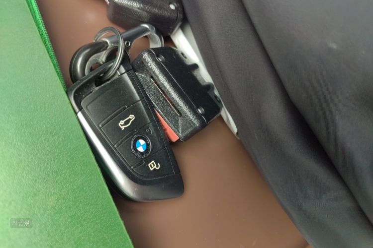 BMW X1 2019 car image #10