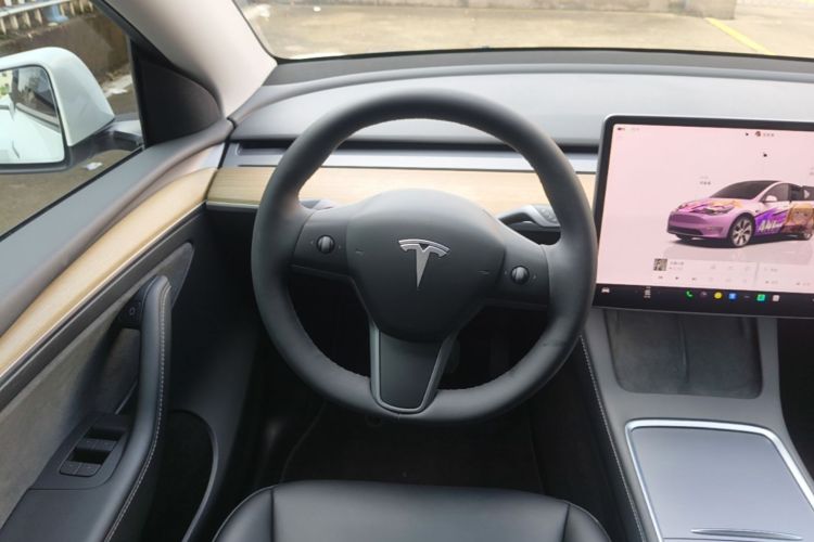 Tesla Model Y 2022 car image #11