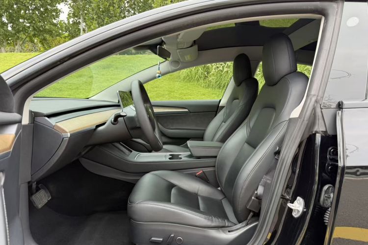 Tesla Model 3 2021 #15 Tesla Model 3 2021 car image #15