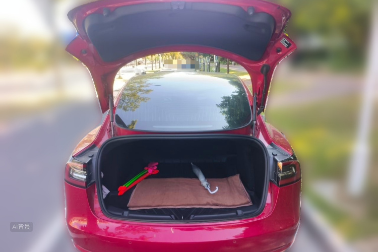 Tesla Model 3 2020 #21 Tesla Model 3 2020 car image #21