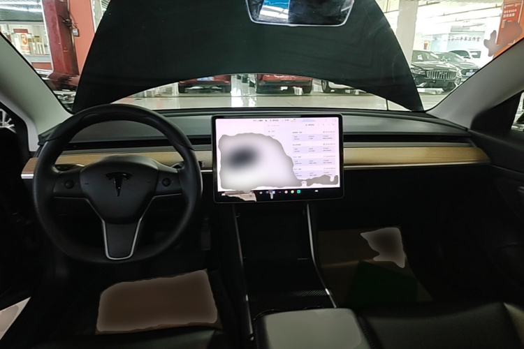 Tesla Model 3 2020 car image #10