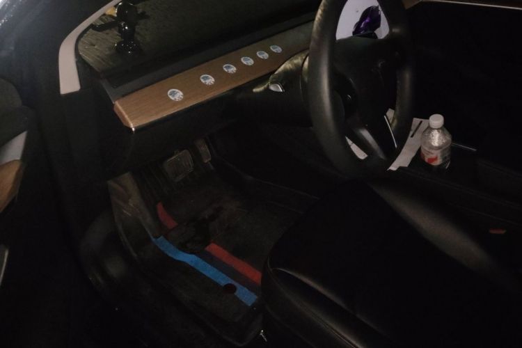 Tesla Model 3 2023 #9 Tesla Model 3 2023 car image #9