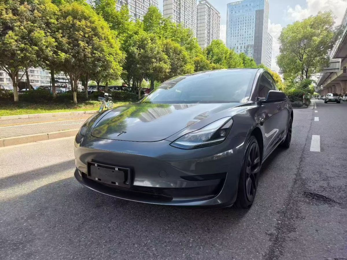Tesla Model 3 2021 Tesla Model 3 2021 car image