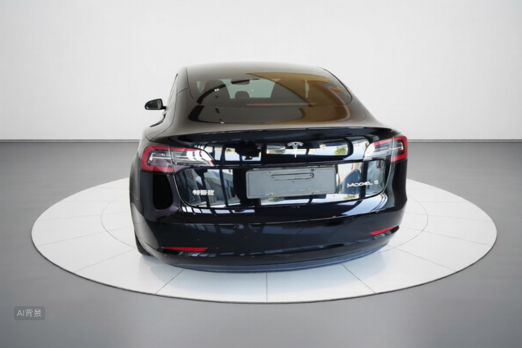 Tesla Model 3 2022 immagine di auto #6