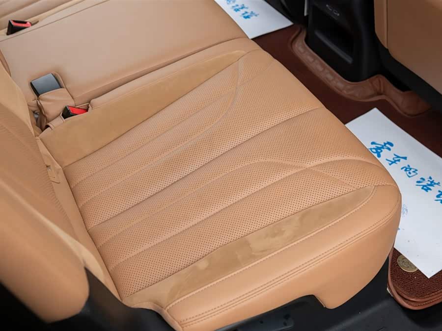 GAC Trumpchi ES9 2023 car image #50