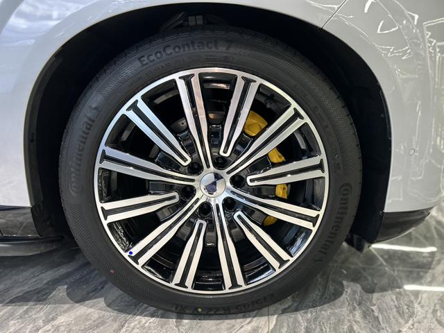 Denza N9 2025 car image #50