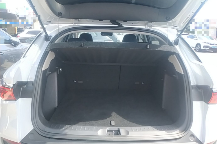BYD Yuan Plus 2023 car image #19