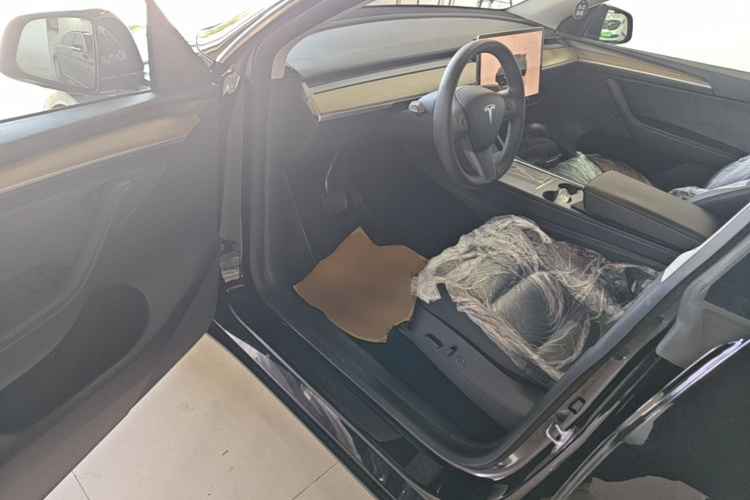 Tesla Model Y 2022 car image #16