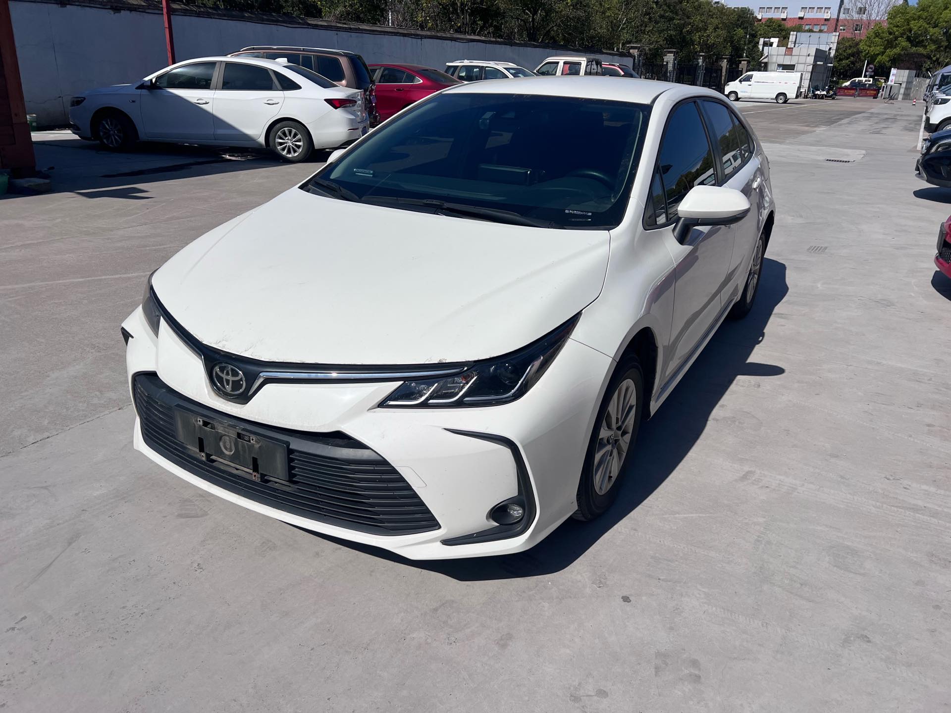 Toyota Corolla 2022 car image 