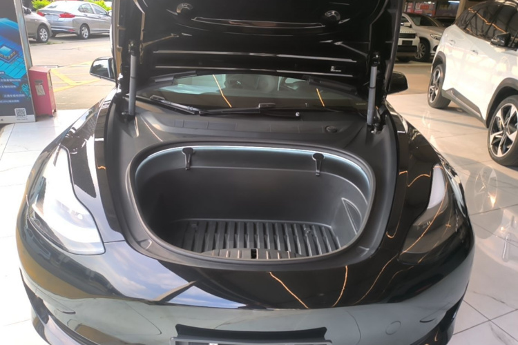 Tesla Model 3 2021 immagine di auto #20