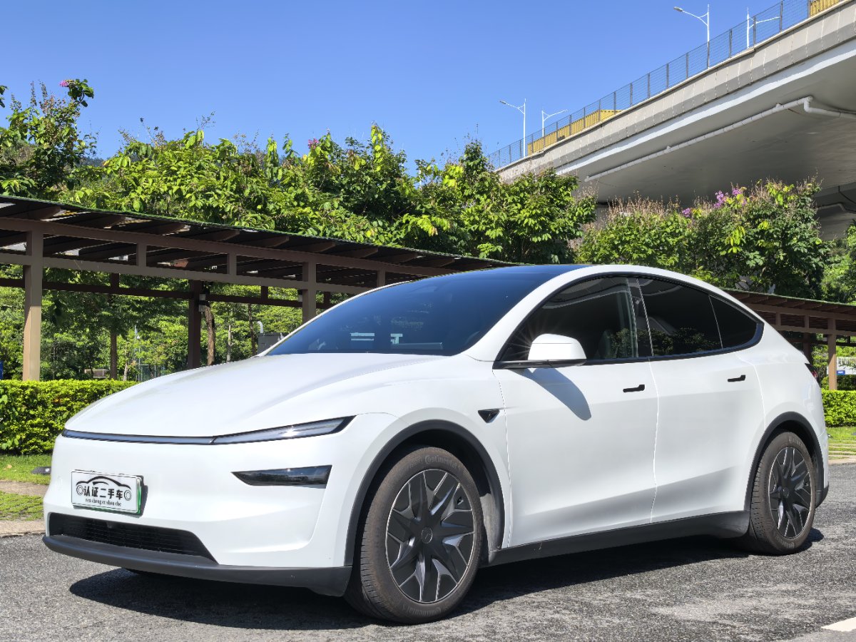 Tesla Model Y L 2025 Tesla Model Y L 2025 car image