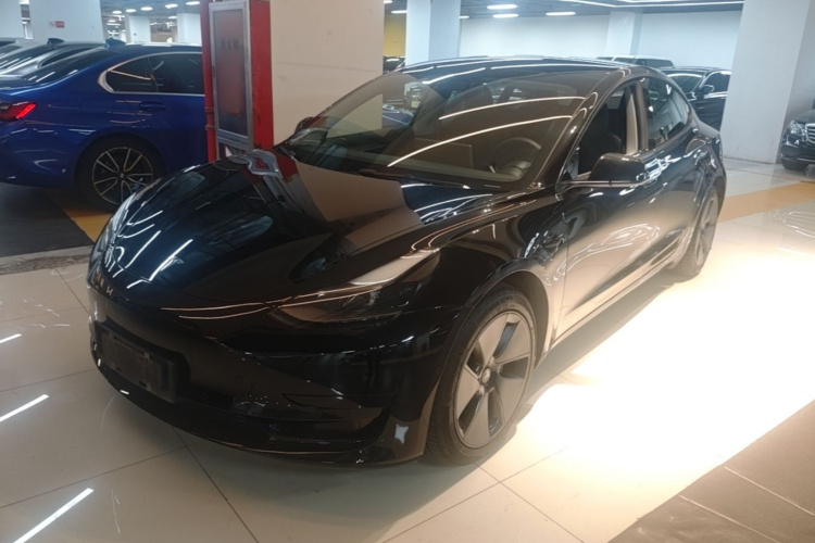 Tesla Model 3 2021 #2 Tesla Model 3 2021 car image #2