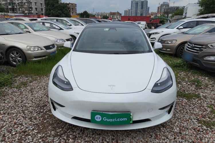 Tesla Model 3 2020 #3 Tesla Model 3 2020 car image #3