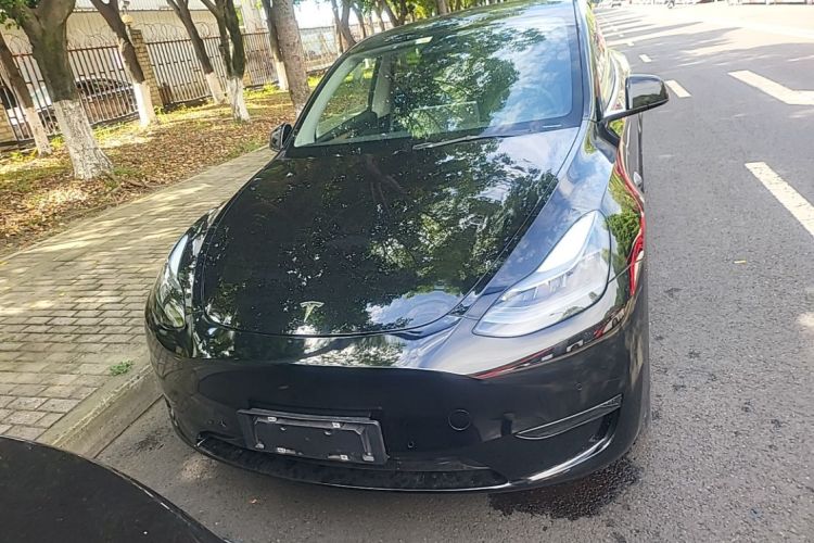 Tesla Model Y 2021 immagine di auto #3