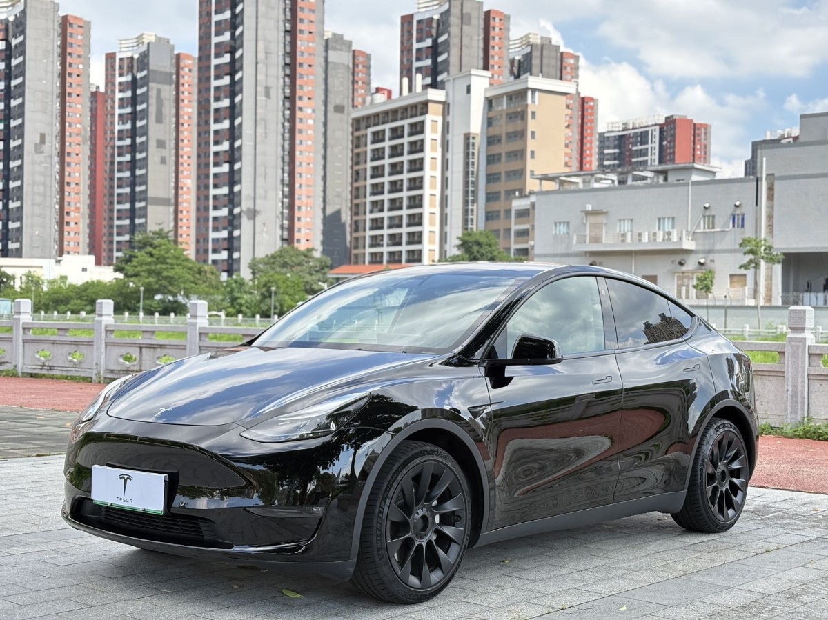 Tesla Model Y 2021 Tesla Model Y 2021 car image
