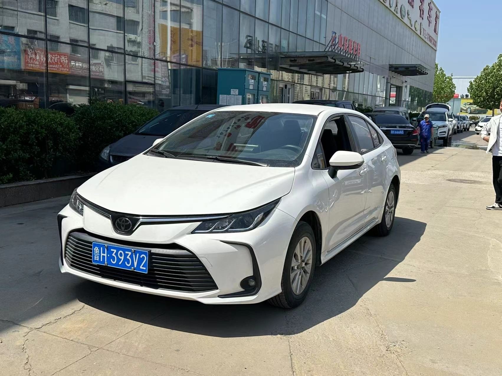Toyota Corolla 2020 car image 