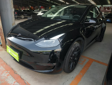 Tesla Model Y 2021 Tesla Model Y 2021 immagine di auto