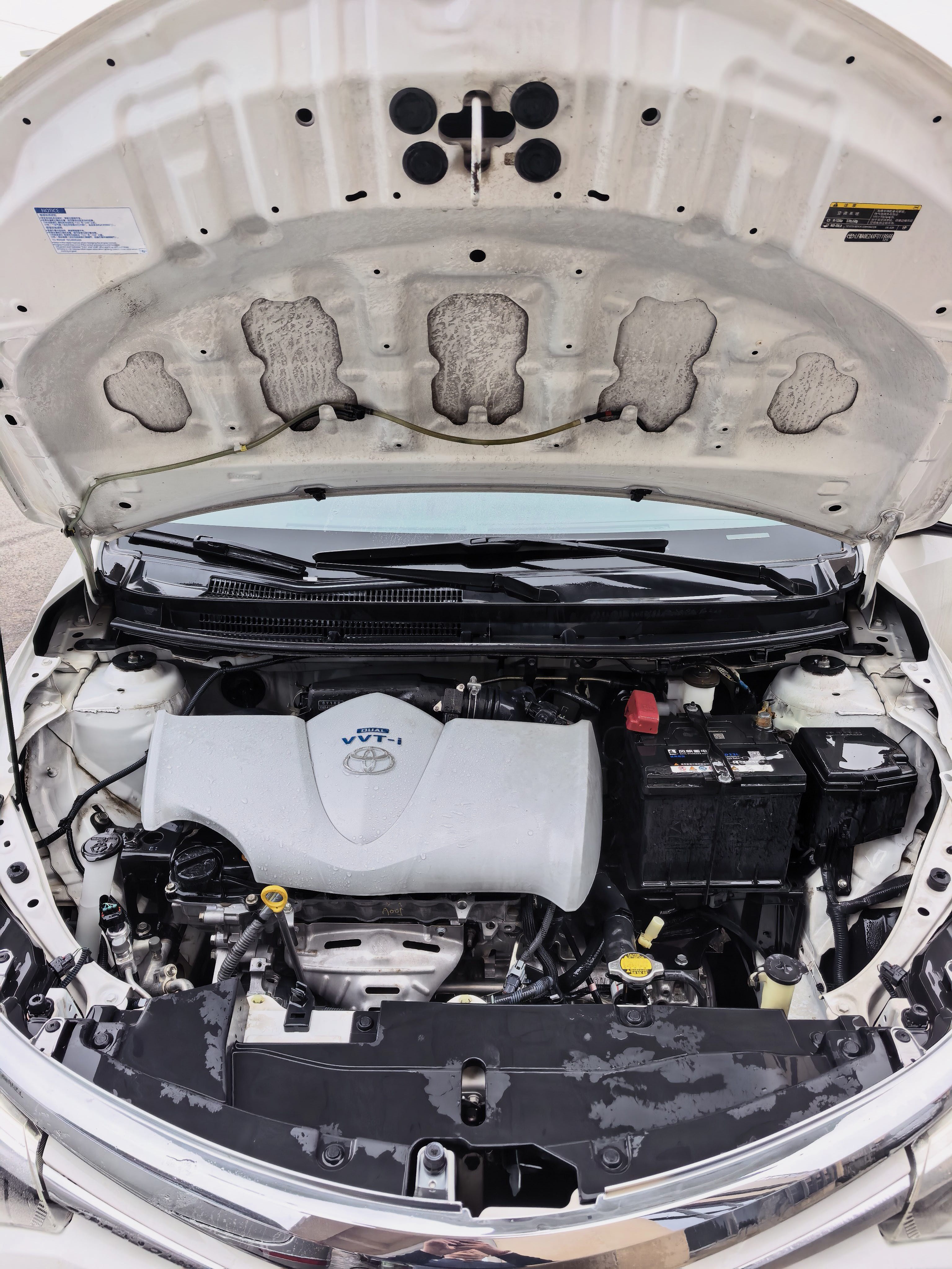 Toyota Vios 2015 car image #7