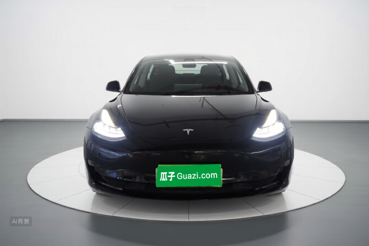 Tesla Model 3 2021 #3 Tesla Model 3 2021 car image #3