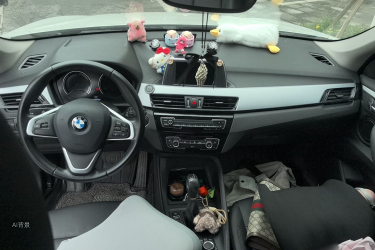 BMW X1 2018 car image #11