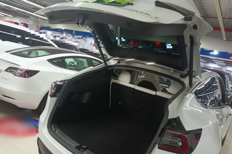 Tesla Model Y 2021 car image #19