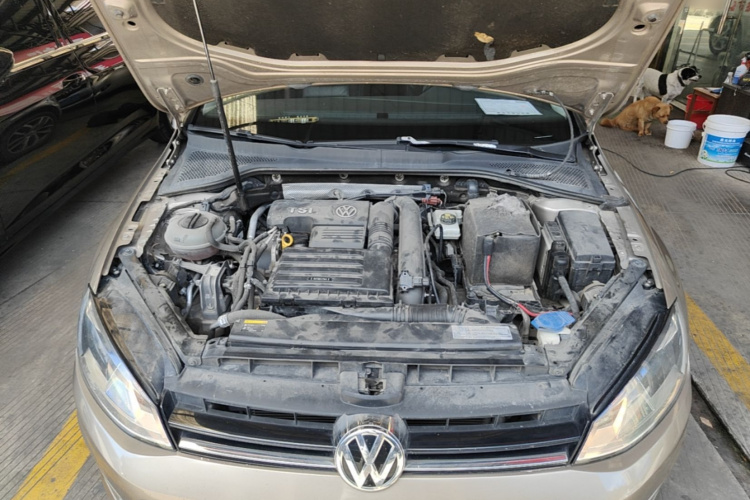Volkswagen Golf 2016 #20 Volkswagen Golf 2016 car image #20