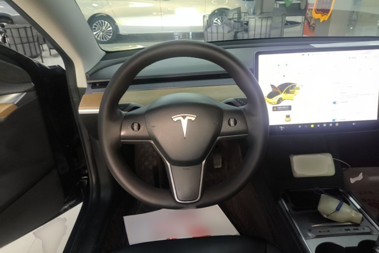 Tesla Model 3 2021 immagine di auto #15