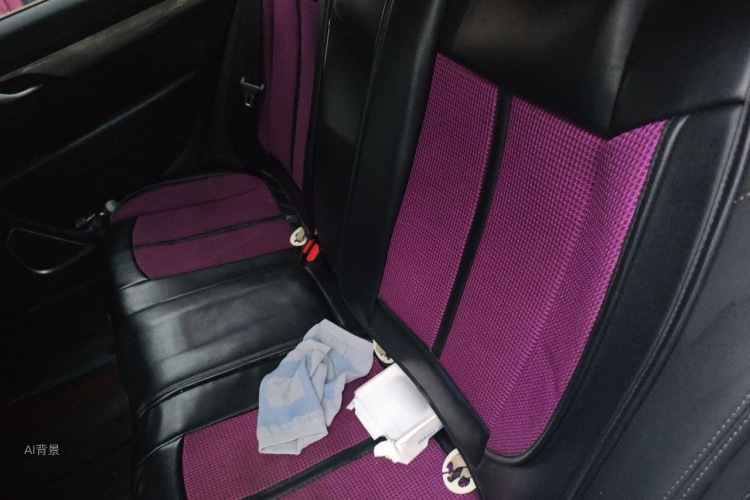 GEELY Emgrand 2019 car image #19