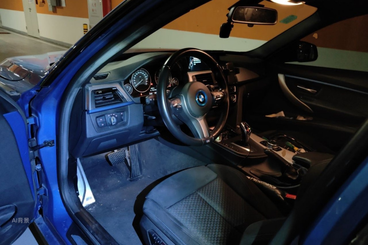 BMW 3 Series 2016 imagen de coche #18