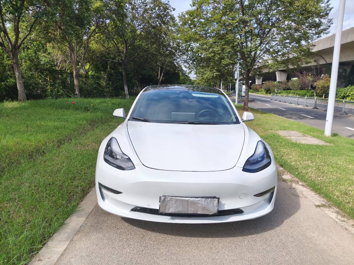 Tesla Model 3 2020 #5 Tesla Model 3 2020 car image #5