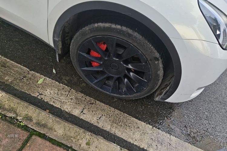 Tesla Model Y 2023 car image #9