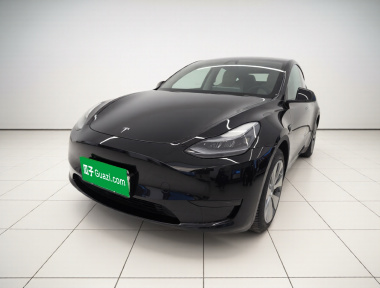 Tesla Model Y 2023 Tesla Model Y 2023 car image