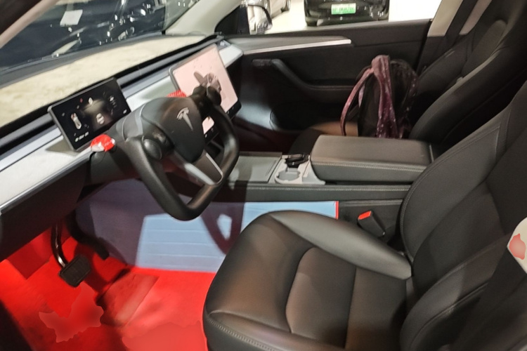 Tesla Model Y 2024 car image #19