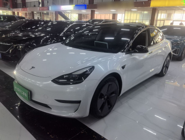 Tesla Model 3 2022 car image 
