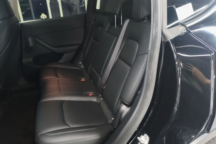 Tesla Model Y 2023 car image #13
