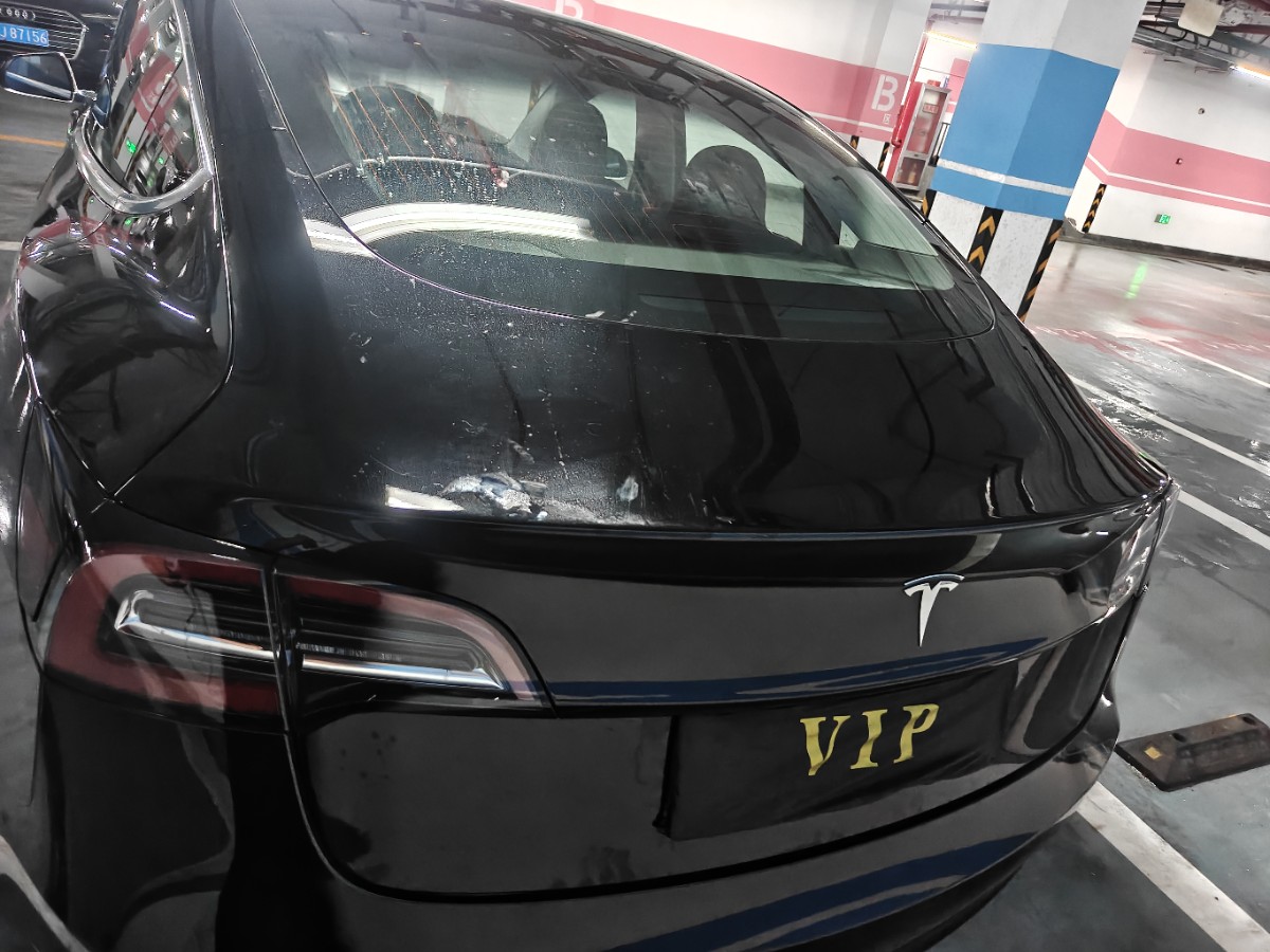 Tesla Model 3 2020 #8 Tesla Model 3 2020 car image #8