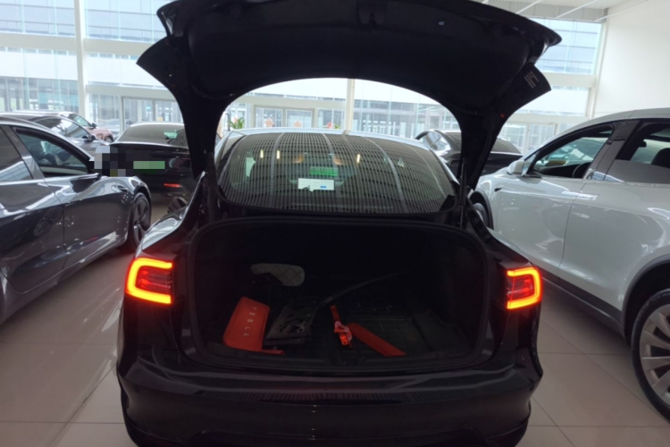 Tesla Model 3 2021 #19 Tesla Model 3 2021 car image #19