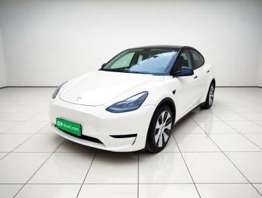 Tesla Model Y 2022 car image 