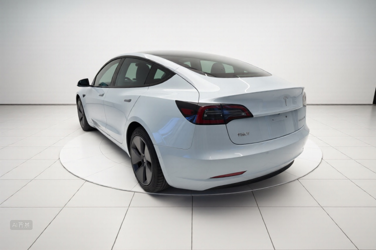 Tesla Model 3 2021 #5 Tesla Model 3 2021 car image #5