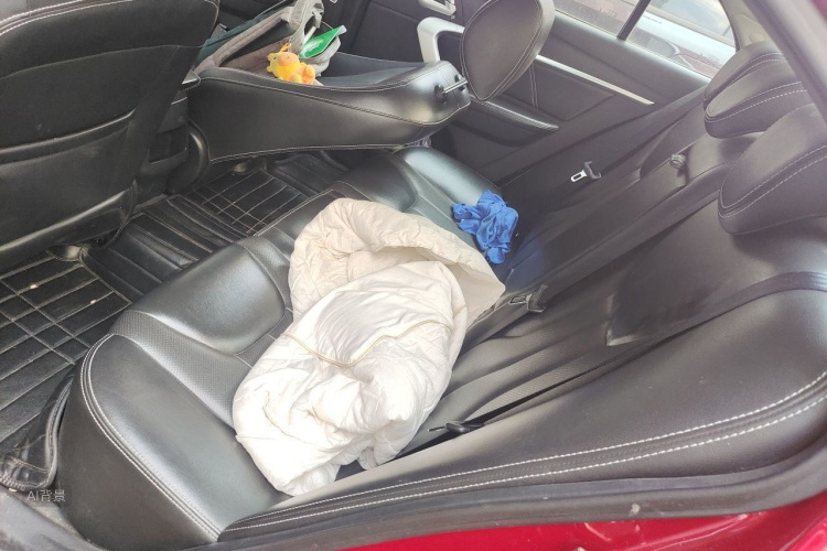 GEELY Emgrand 2016 car image #19