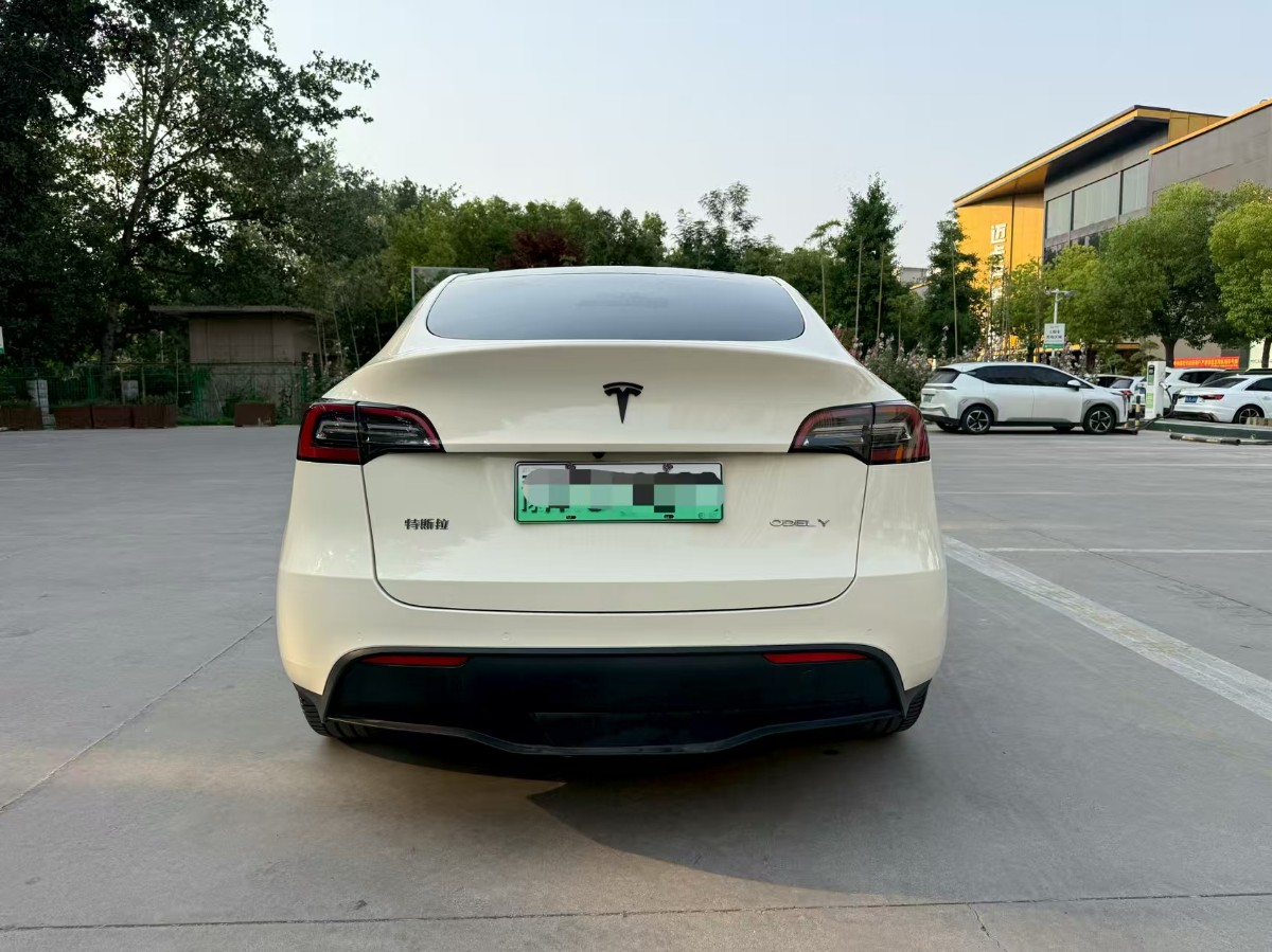 Tesla Model Y 2021 car image #5