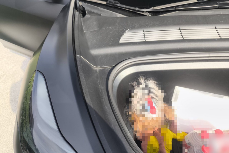Tesla Model Y 2023 car image #28
