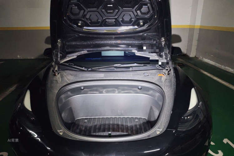 Tesla Model 3 2021 #22 Tesla Model 3 2021 car image #22