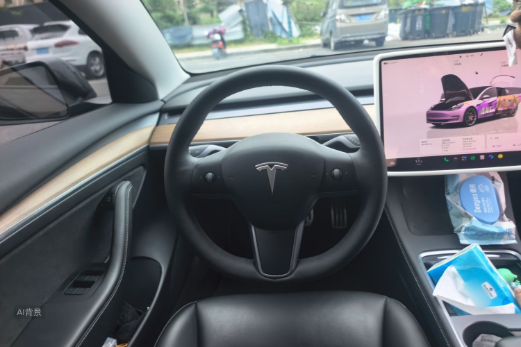 Tesla Model 3 2021 car image #12
